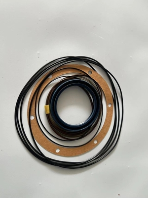 923976.6881 Kit di riparazione dei riduttori rotanti Kalmar Reach Stacker Parts